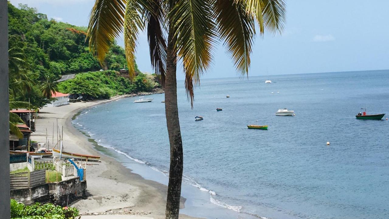 Les Penates - Appt Vue Mer Proche Plage Saint-Pierre Esterno foto
